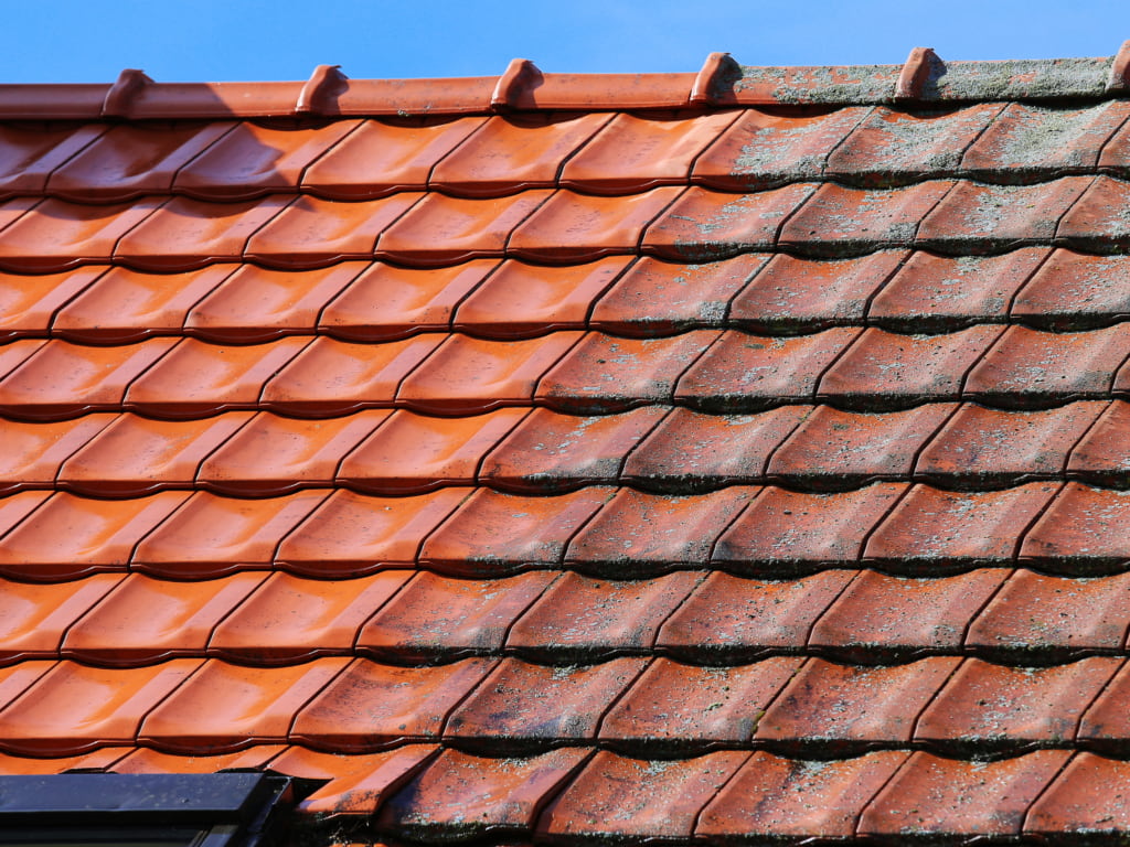 A roof where one half is cleaned and the other half still needs cleaning